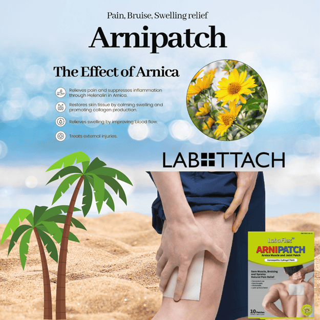 Sand Water Blue Skies Palm Trees LaboFlex