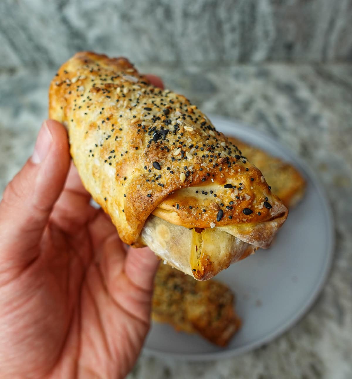Holding air fryer egg roll