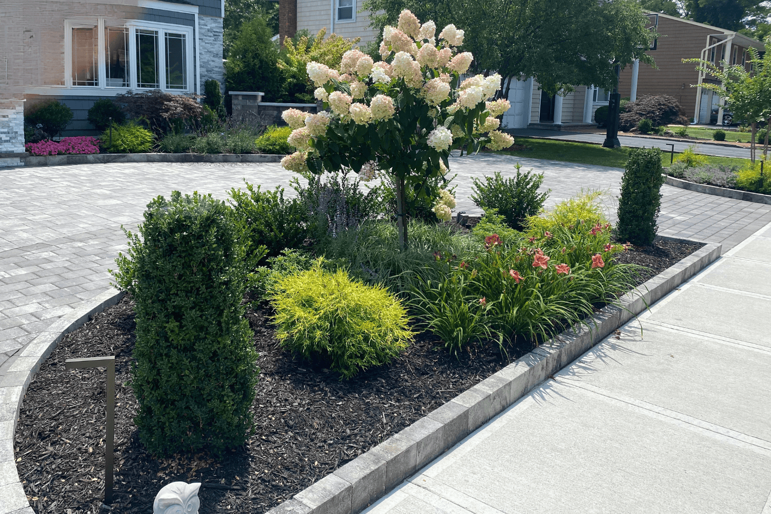 Lush garden with blooming flowers.