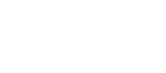 13-01 permanent license
