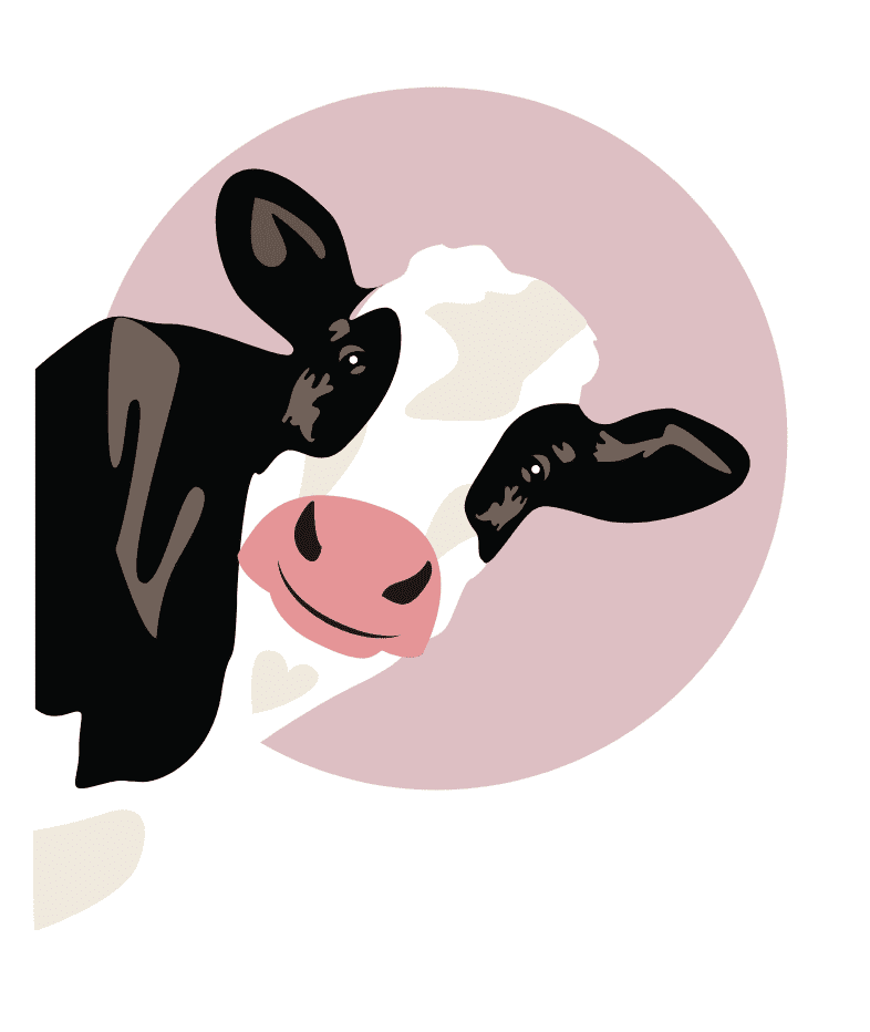 cartouche oh la vache