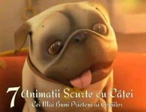 7-Animatii-Scurte-cu-Catei-Cei-Mai-Buni-Prieteni-ai-Copiilor 7-Animatii-Scurte-cu-Catei-Cei-Mai-Buni-Prieteni-ai-Copiilor