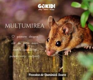 Multumirea. O poveste terapeutica soricel gokid Multumirea. O poveste terapeutica soricel gokid