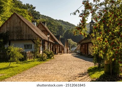 9+ Thousand Rural Polish House Royalty-Free Images, Stock Photos ...