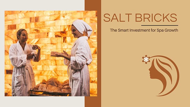 SALT BRICKS: THE SMART INVESTMENT FOR SPA GROWTH 5 measuring success