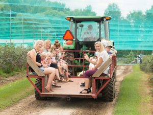 Wagon Rides to farm fields