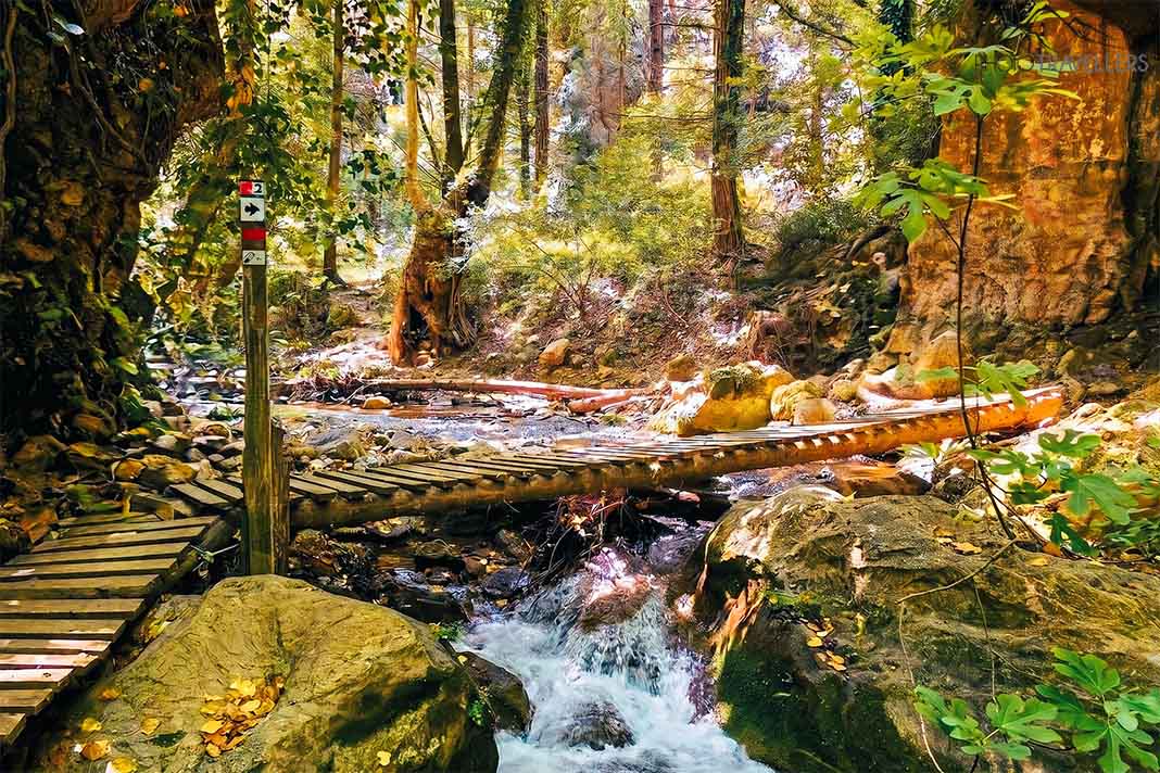 Kleiner Wasserfall inmitten eines dicht bewachsenen Waldes in Potami