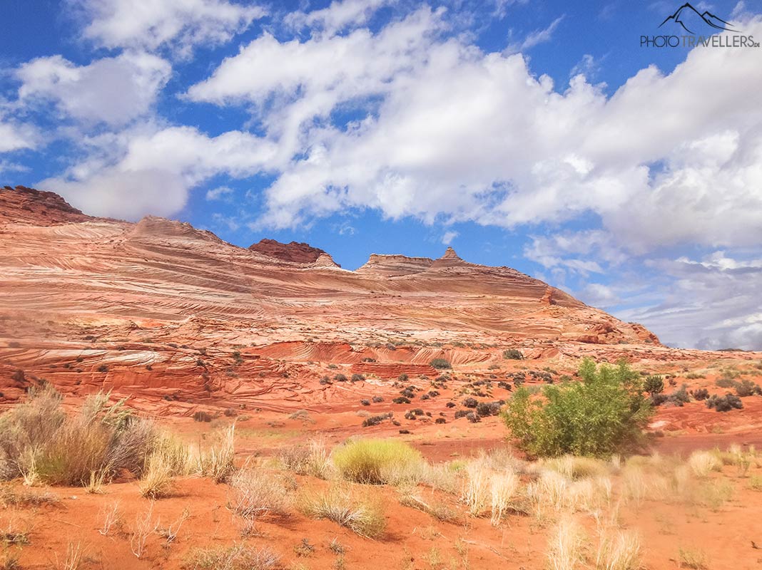 Bunte Sandsteinformationen am Wanderweg zur Wave in Arizona
