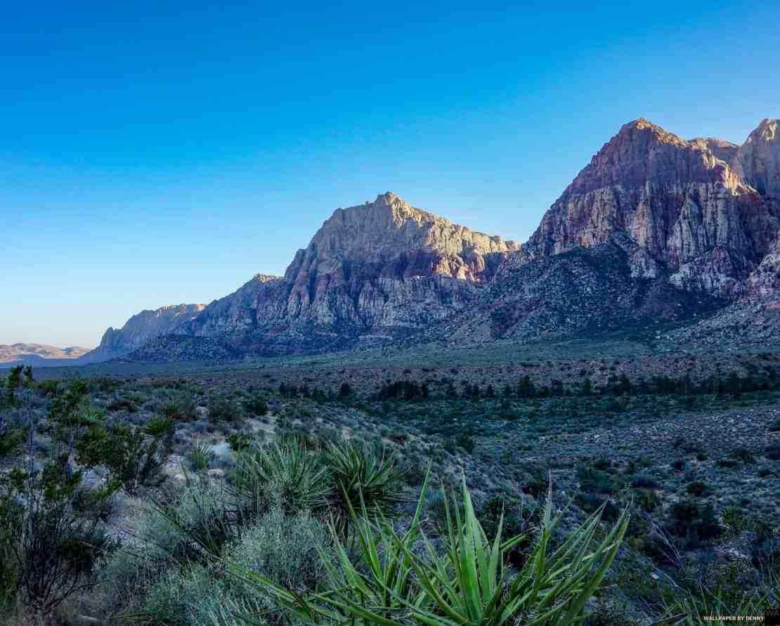 Red Rock Canyon Landscape