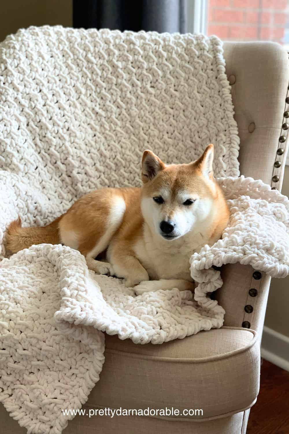 Creamy chunky throw blanket on a chair with a dog - Free crochet throw pattern