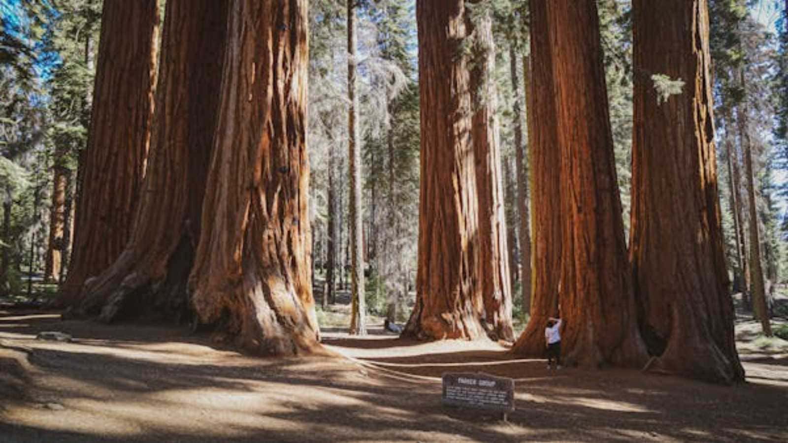 Stunning Photos of the World’s Most Colorful Natural Wonders