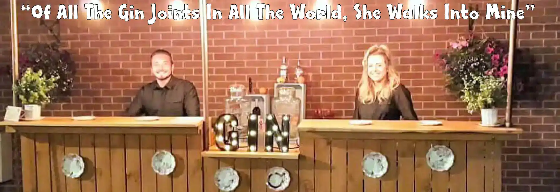 Gin Bar For Hire Gin Bar For Hire