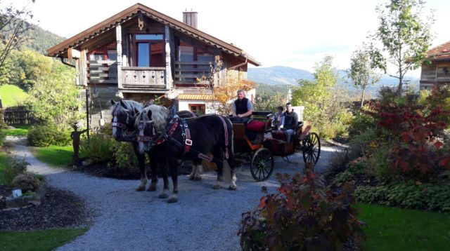 Kutschfahrt im Bayerischen Wald