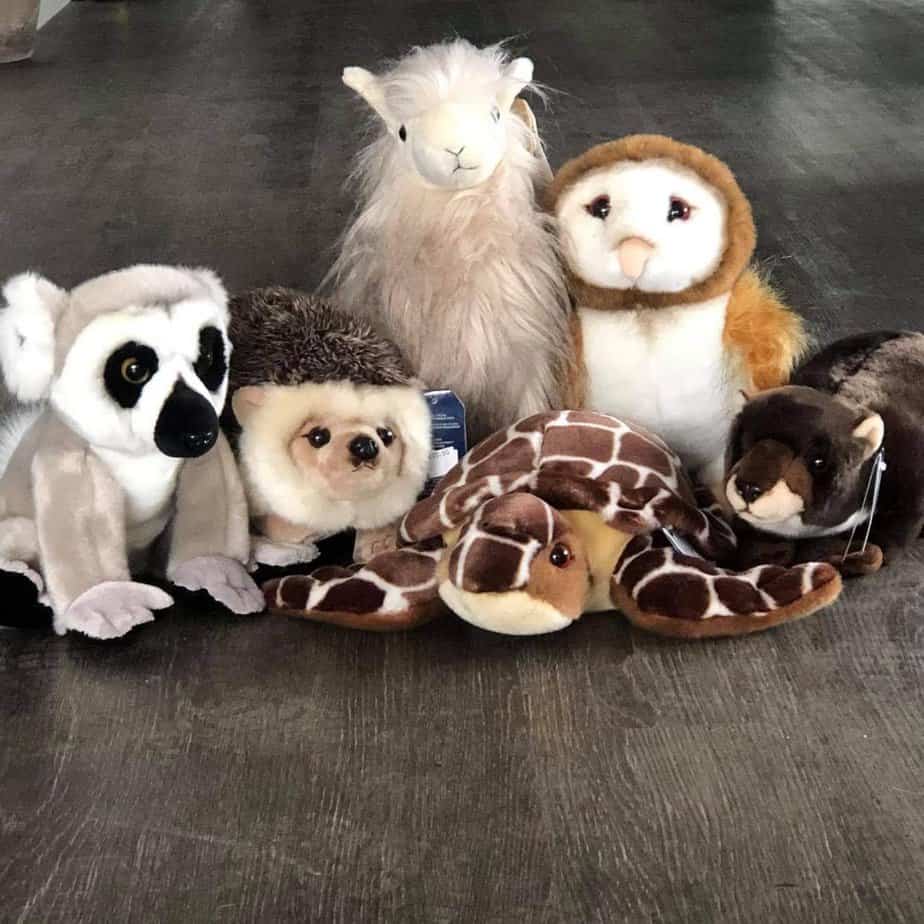 Assorted Plush