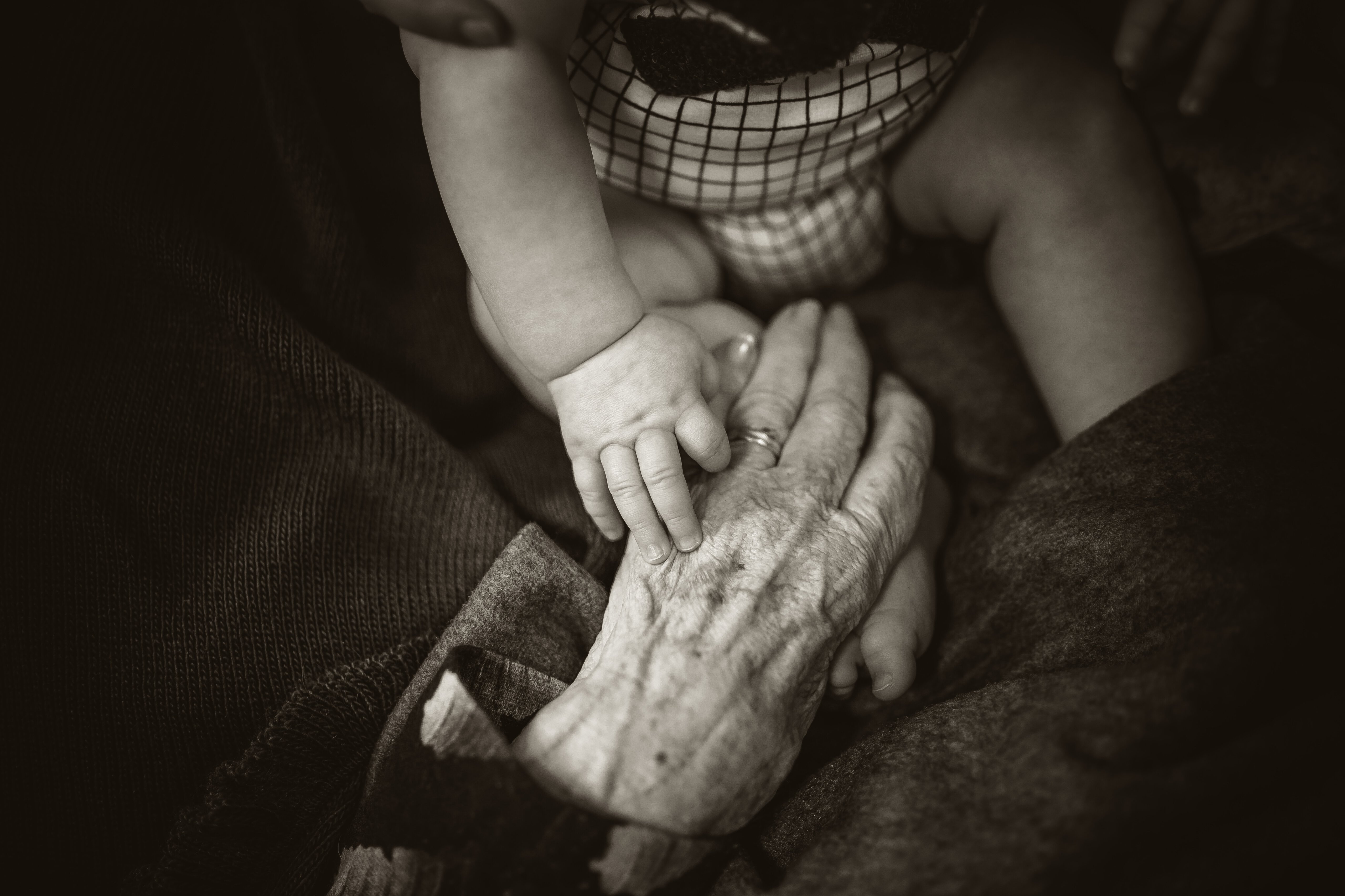 Baby touching and elderly persons hand / Back to Articles Aging in Place: A Guide to the Best Services for Seniors