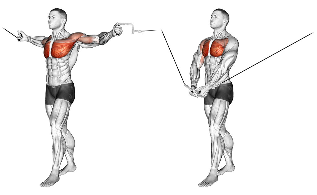 Facing-Away Cable Curl