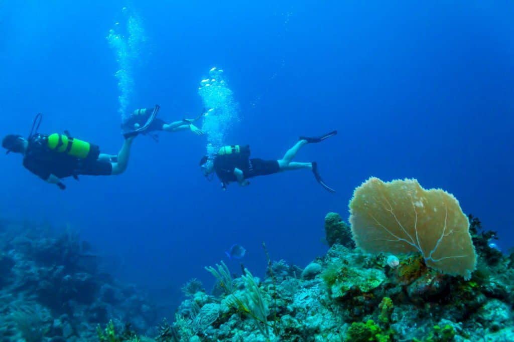 nurkowie pod wodą na Kubie