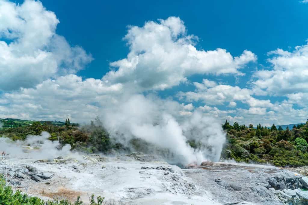 rotorua te puia