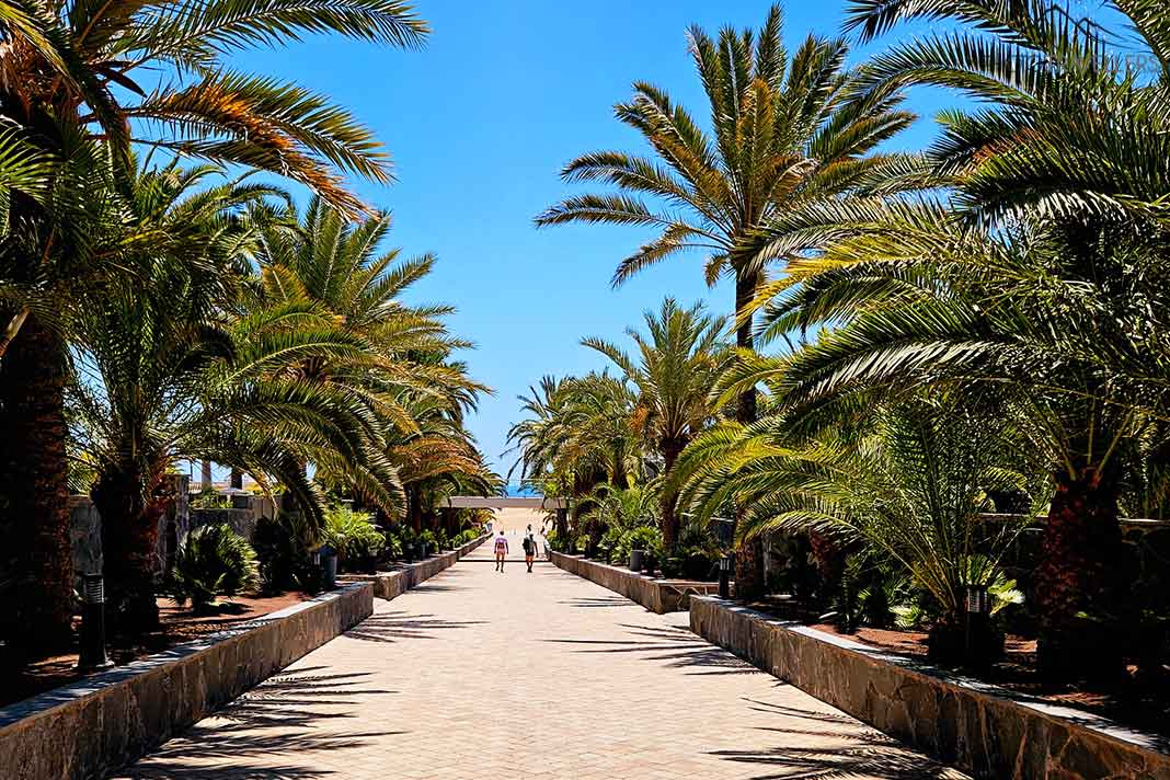 Hohe Palmen säumen die mit Steinen gepflasterte Strandpromenade von Maspalomas