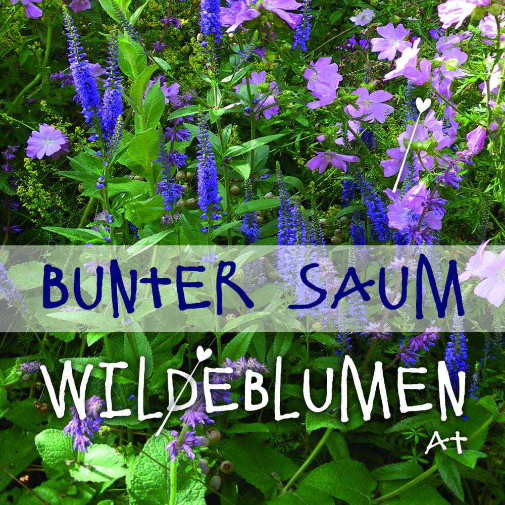 Saatgutmischung "Bunter Saum Artenreich"
