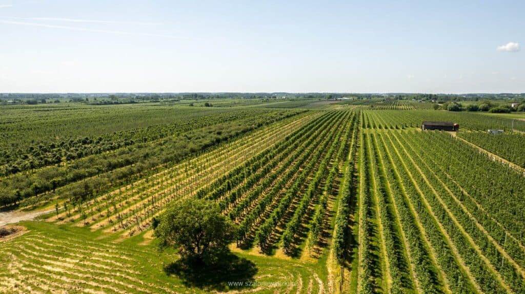 wiejskie klimaty mazowsza