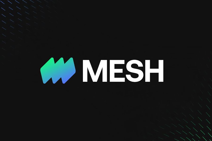 Mesh logo