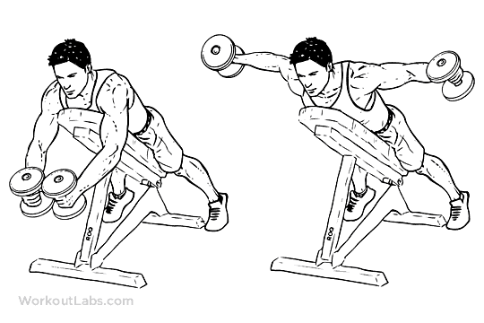 Best Rear Delt Exercises