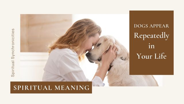 WHY DO DOGS APPEAR REPEATEDLY IN YOUR LIFE? 3 dog synchronicity