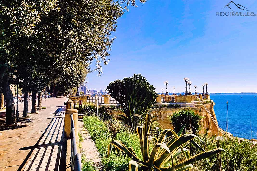 Fußgängerpromenade mit Bäumen und Kakteen in Taranto