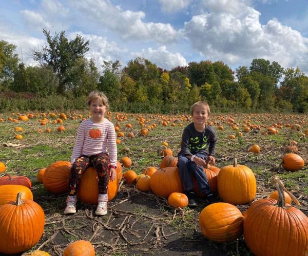 Pumpkin patch in London Ontario Pumpkin patch in London Ontario