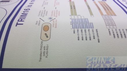 Scientific Poster close up view