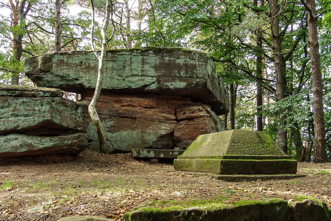 Der Kalmit ist der höchste Berg im Pfälzerwald
