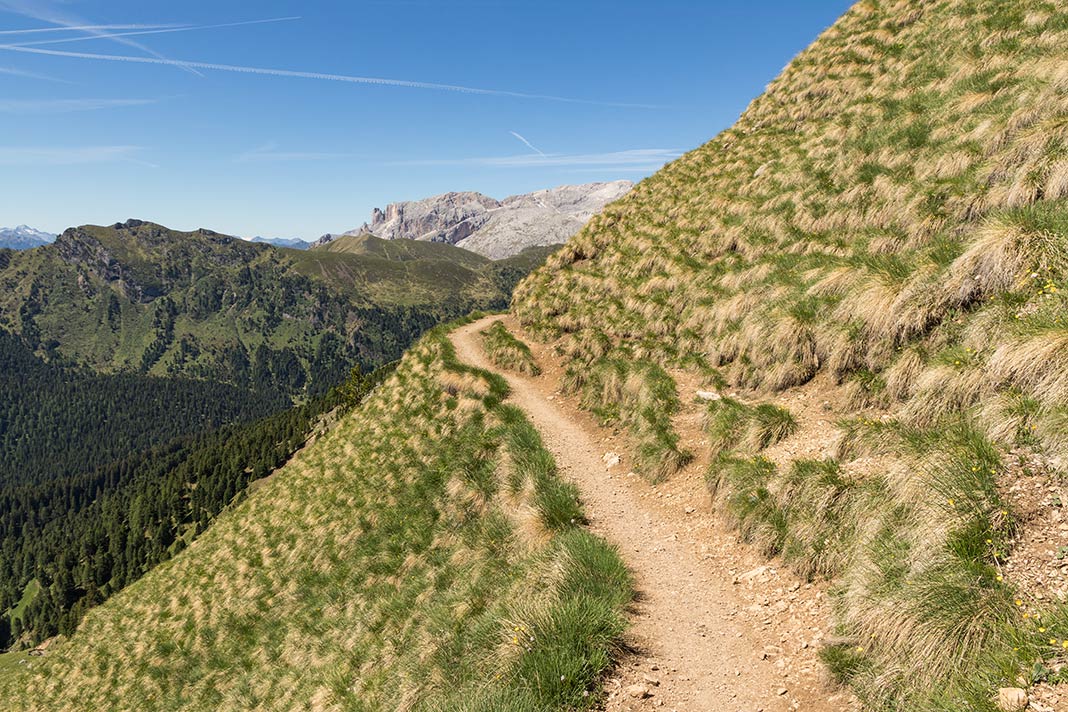 Schmaler Wanderweg