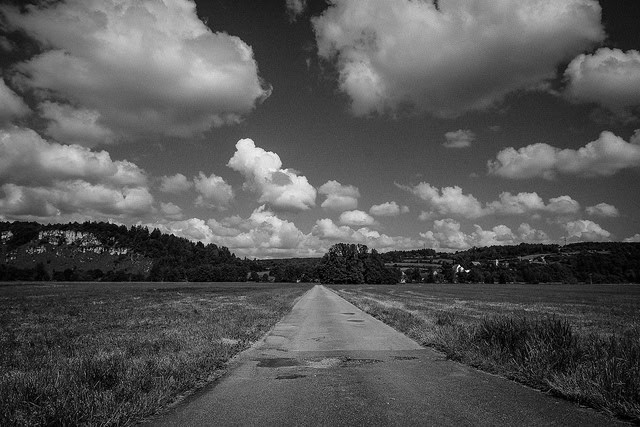 Foto por Matthias Ripp.