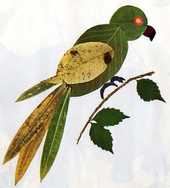 activitate cu frunze pasari din frunze activitate cu frunze pasari din frunze