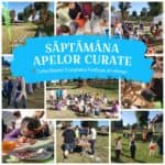 Natură, comunitate și viitor. S-a scris povestea Săptămânii Apelor Curate 2025 saptamana apelor curate harman brasov