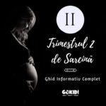 Trimestrul 2 de Sarcină: Riscuri, Simptome și Sfaturi Utile trimestrul 2 de sarcina gokid