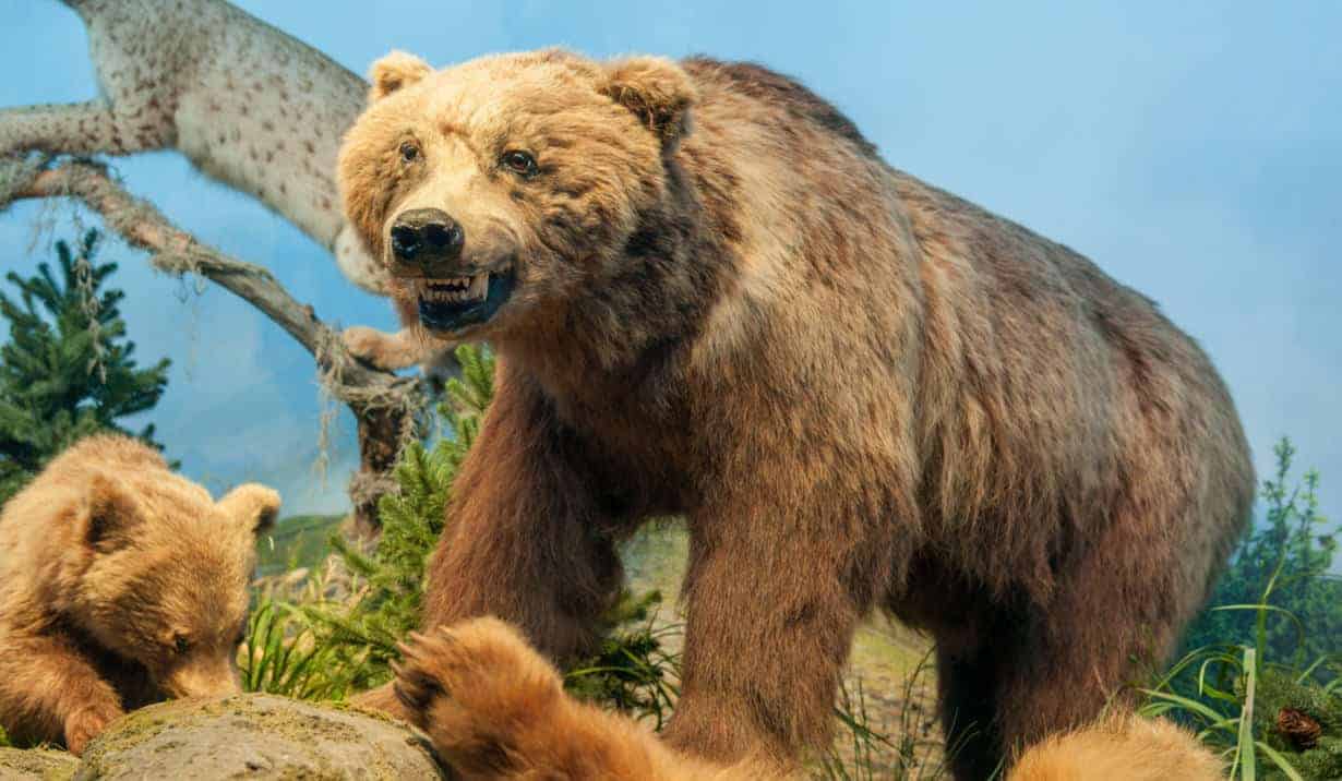 muzee kid-friendly muzeul antipa muzee kid-friendly muzeul antipa