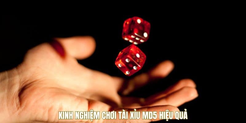 Kinh nghiệm chơi tài xỉu MD5 hiệu quả