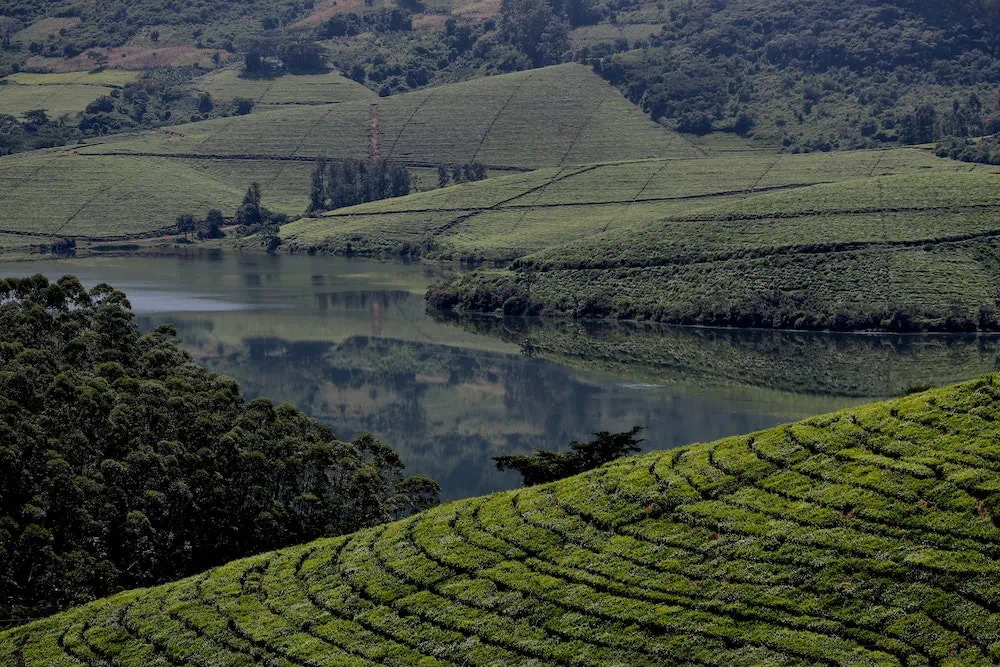 tourist attractions in africa