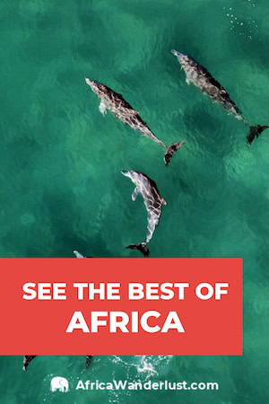From Safari trips in Zimbabwe to gorilla trekking in Uganda - Africa is full of incredible adventures! Here's my ultimate Africa travel bucket list! #africatravel #safari #africa #southafrica #southernafrica #eastafrica #northafrica #africadestinations #destinations #kenya #tanzania #capetown #ghana #zimbabwe #morocco #zambia #egypt #uganda #nigeria #namibia #zanzibar #egypttravel #mauritius #botswana #mozambique #algeria #seychelles #swaziland #eswatini #bucketlist #traveldestinations