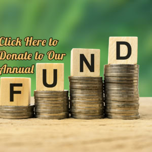 Investment concept in long-term funds. 1. Donate to The History Museum's annual fundraising campaign with stacked coins and wooden blocks spelling F, U, N, D for community support and preservation.