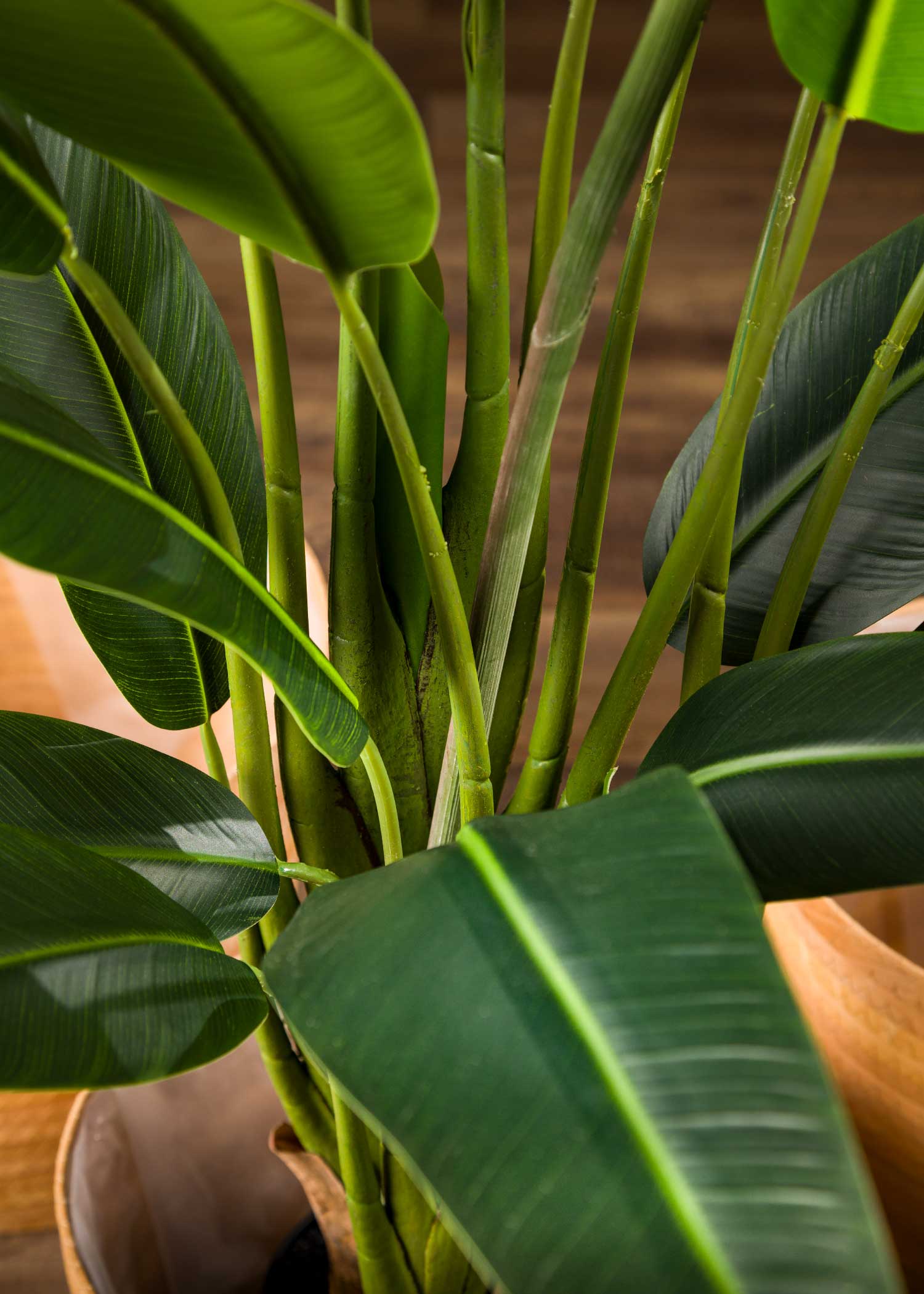 pianta-sterlizia-artificiale-foglie-dettaglio