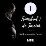 Primul Trimestru de Sarcină: Ghid Informativ Complet trimestrul 1 de sarcina