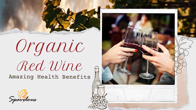 ORGANIC RED WINE: AMAZING BENEFITS OF ORGANIC WINE 20 demystifying organic wine
