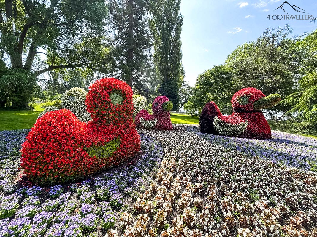 Große Enten-Figuren aus bunten Blumen auf der Insel Mainau