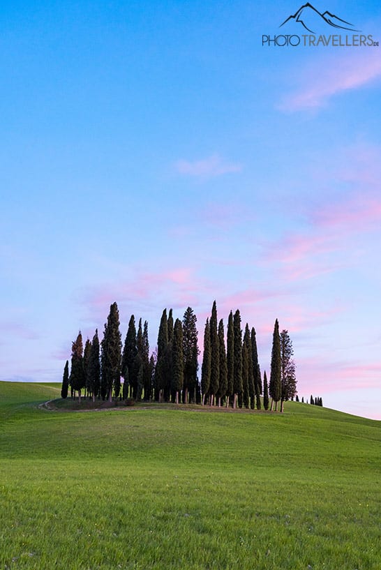 Die Zypressen von San Quirico d'Orcia im Val d'Orcia am Abend