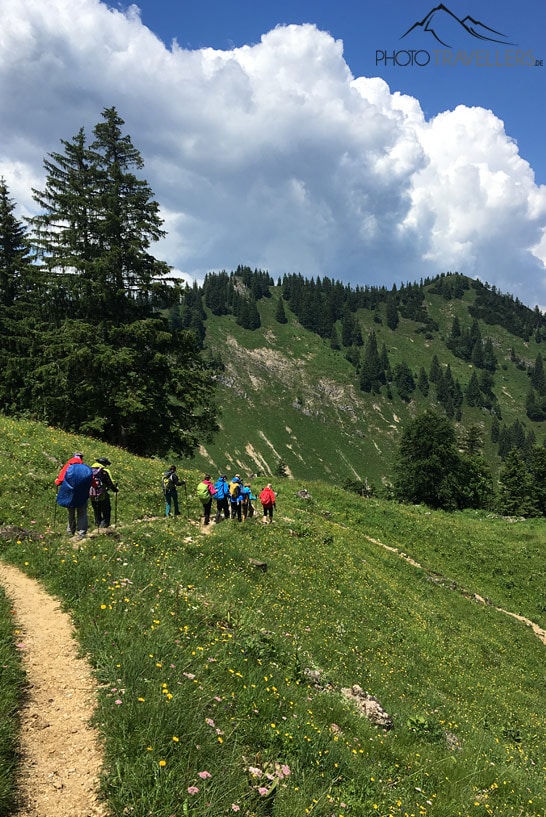 Die Gruppe der Wanderleiter-Ausbildung auf einem schönen Wanderweg in den Alpen