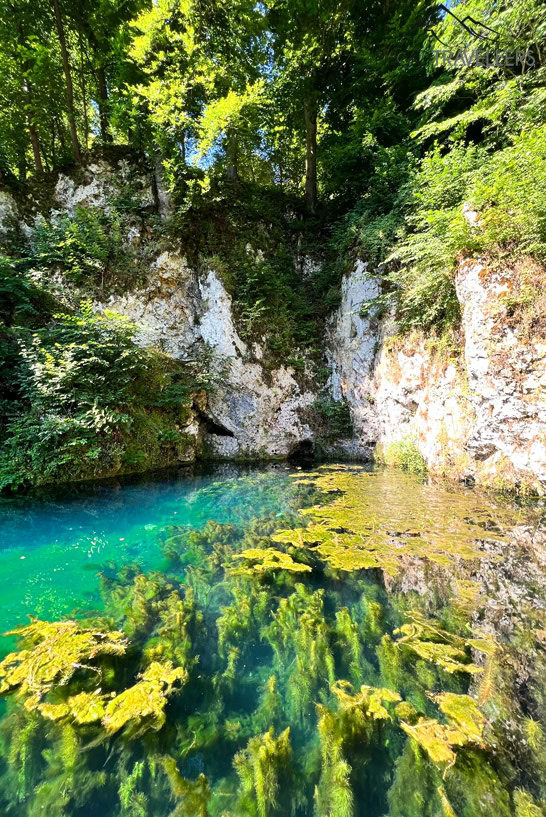 Blick auf das türkis-blaue Wasser des Brenz-Topfs