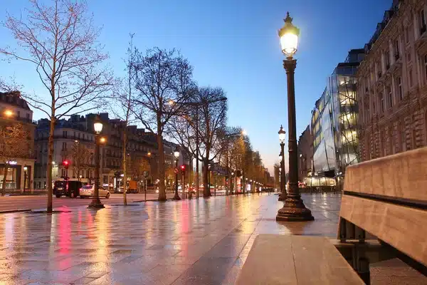 Désinsectisation 2 desinsectisation cafards paris 8